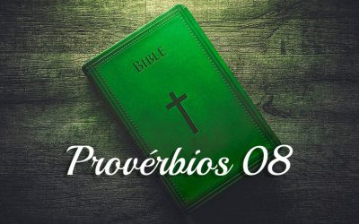 Provérbios 8