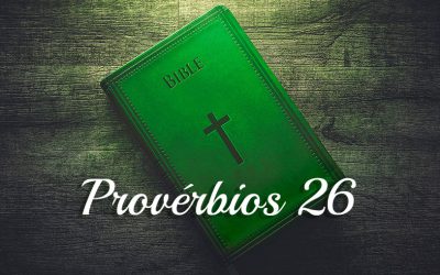 Provérbios 26